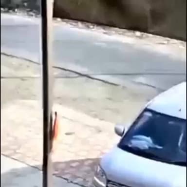 अलीराजपुर: जोबट में नाबालिग बाइक सवार ने माँ-बेटे को मारी टक्कर, डेढ़ साल का बच्चा दूर गिरा, दो नाबालिग हिरासत में