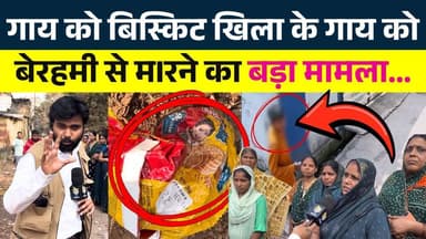 गIय को Biscuit खिला के बेरहमी से म|Rने का बड़ा मामला || Seemant Kashyap || KP News
#news #bhilainews #kpnewsbhilai #kp...
