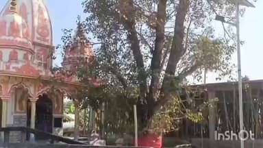 কমলপুর: কমলপুর কমলেশ্বরী মায়ের আশীর্বাদে পুণ্যযজ্ঞের সূচনা—ঢাক ও মন্ত্রোচ্চারণে শুরু মাতা কমলেশ্বরীর নতুন মন্দিরের ছাদ ঢালাই