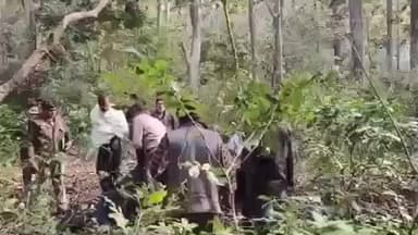 भिनगा: अंटा तिराहे के पास जंगल में बीते बुधवार घर से लापता युवक का शव फंदे से लटकता मिला, पुलिस जांच में जुटी