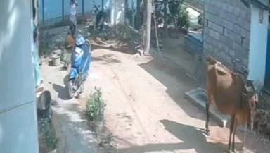 அறந்தாங்கி: வல்லபக்கா டில் 20 பாதை பிரச்சனையில் மூதாட்டி முதியவர் தம்பதியினரை மம்பட்டியால் வெட்டி கொலை செய்ய முயற்சி நடந்த CCTV கேமரா காட்சி இணையத்தில் பரவல்