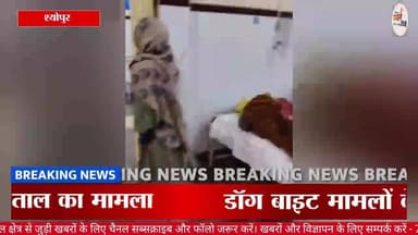 श्योपुर जिला अस्पताल में आवारा कुत्तों की एंट्री, वायरल वीडियो से हड़कंप | ChambalTV
#Hospital #GovtHospital #SheopurH...
