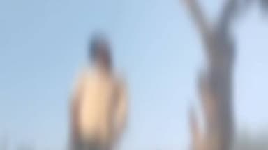 हर्रैया: केवटली गांव में सागौन के पेड़ से लटका मिला 30 वर्षीय युवक का शव, गांव में मचा हड़कंप