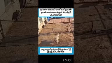 #viralvideo எது பண்ணாலும் பிளான் பண்ணி பண்ணனும்