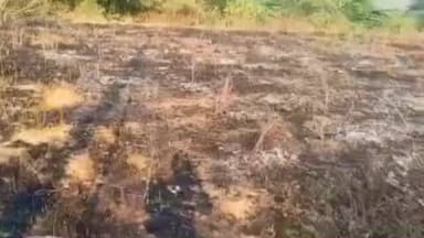 యర్రగొండపాలెం: నన్నారి షరబత్ పంటకు నిప్పు పెట్టిన దుండగులను కఠినంగా శిక్షించాలని పోలీసులను కోరిన రైతు నాగరాజు