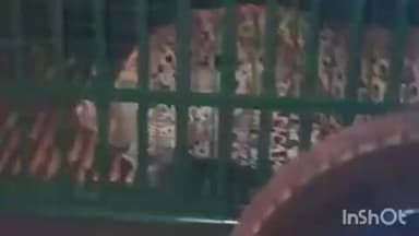 ખેરગામ: ખેરગામના બહેજ ગામ ખાતેથી દીપડો પાજરે પુરાયો