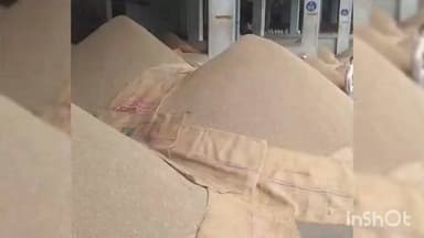 ઊંઝા: ઉંઝા ગંજબજારમાં જુના જીરાની દૈનિક 8000 બોરીની આવક,4450 સુધી ભાવ બોલાયો