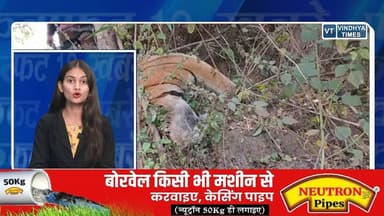 60 सेकेंड में देखिए रीवा और MP की फटाफट खबरें
#vindhyatimes #rewanews #satnanews #shahdolnews #sidhinews #annupurews #u...