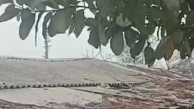 गौनहा: गौनाहा: सहोदरा थाना क्षेत्र के अररिया बारवा गांव में एक युवक की संदिग्ध मौत