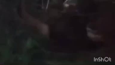 बलरामपुर: चमरूपुर में गौशाला की अव्यवस्था को लेकर ग्रामवासियों ने उप जिलाधिकारी से जांच करने की की मांग