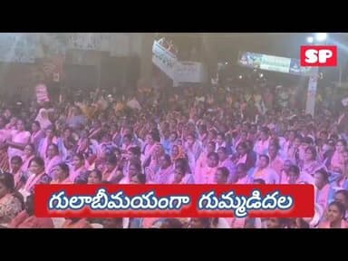 గులాబీ మయంగా గుమ్మడిదల