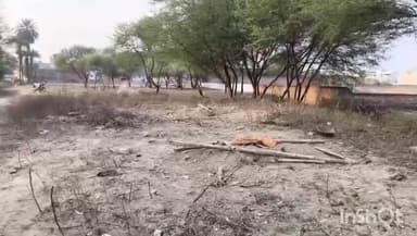 अहमदपुर नजूल गोरा बाजार में कब्रिस्तान की जमीन पर अवैध कब्जे को लेकर स्थानीय लोगों में व्याप्त है रोष