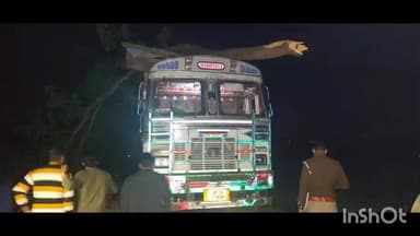 अमेठी: मुंशीगंज में ट्रक से टकराई आम की डाल, चपेट में आकर 5 लोग हुए घायल