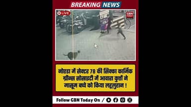 नोएडा: सिक्का कार्मिक ग्रीन्स सोसाइटी में बच्चे पर आवारा कुत्तों का हमला#Noida #DogAttack #Sector78