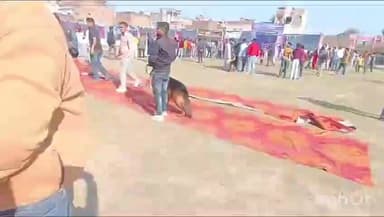 संभल: सदर कोतवाली क्षेत्र स्थित हिन्द इंटर कॉलेज मैदान में विदेशी नस्लों के कुत्तों का राष्ट्रीय डॉग शो आयोजित किया गया