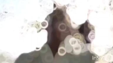 कुलपहाड़: हरपालपुर–झांसी रोड स्थित बैदों मोड़ पर नेशनल हाईवे–39 किनारे शीशम के पेड़ से मिला एक अज्ञात व्यक्ति का शव