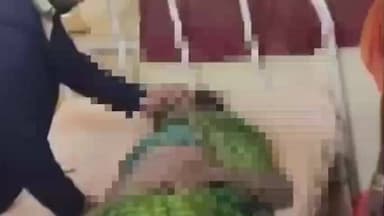 बेल्थरा रोड: पड़सरा गांव में विद्युत करंट लगने से बर्तन धो रही महिला की मौत, परिजनों में मचा कोहराम