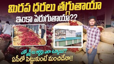 #AP TG చైనా అమెరికా పార్టీలు#ఎర్ర బంగారం ధరలు నిలకడేనా? ఇంకా పెరుగుతాయా!! Chili prices Exclusive