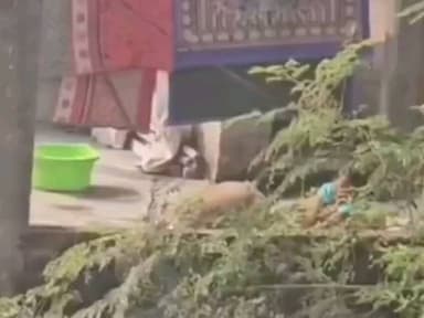 किशनगंज: किशनगंज में दहेज के लिए महिला को बांधकर पीटा, वीडियो वायरल