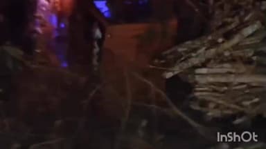 ಶಿವಮೊಗ್ಗ: ಟ್ರೀಪಾರ್ಕ್ ಬಳಿ ಚಾಲಕನ ನಿಯಂತ್ರಣ ತಪ್ಪಿ ಲಾರಿ ಪಲ್ಟಿ