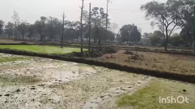 गोंदिया: नुकसानभरपाईचा निधी येऊन २० दिवस लोटले; ८० हजार शेतकरी अद्यापही प्रतीक्षेत