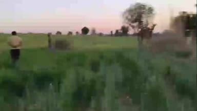 बुहाना: बुहाना क्षेत्र में अज्ञात जंगली जानवर का आतंक, किसानों में दहशत, लोग बाहर निकलने से डर रहे हैं