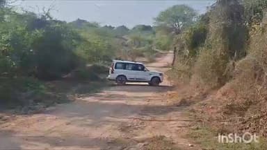 बाड़ी: विधायक जसवंत गुर्जर ने सड़क निर्माण कार्यों का किया निरीक्षण