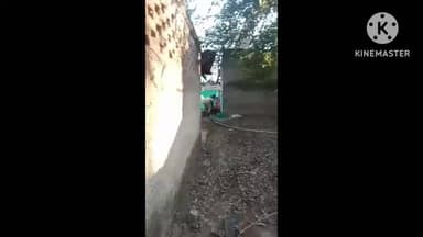 चंदेरी: ग्राम बडेरा निवासी वृजकिशोर यादव के साथ भाजपा नेता ने की मारपीट, वीडियो आया सामने