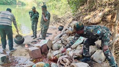 चक्रधरपुर: गुड़ासाईं में आबकारी विभाग ने अवैध महुआ शराब बनाने के लिए इस्तेमाल होने वाला महुआ जावा किया नष्ट