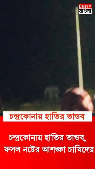 চন্দ্রকোনায় হাতির তাণ্ডব,
ফসল নষ্টের আশঙ্কা চাষিদের