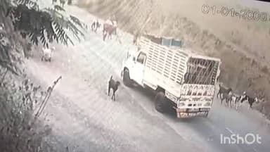 कुक्षी: कुक्षी के गिरवान्या में वाहन दुर्घटना में बाइक सवार की मौत, CCTV विडियो आया सामने