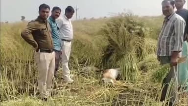 गुलाना: सलसलाई नायरा पेट्रोल पंप के पास जंगली जानवर ने हिरण-शावक का किया शिकार, ग्रामीणों में दहशत