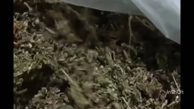 इंदौर: महिला की शिकायत पर पुलिस ने अवैध मादक पदार्थ बेचने वाले आरोपी पति को किया गिरफ्तार