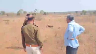 खालवा: गौशाला में एक महीने में 40 गायों की मौत का मामला, 40 गायों के मरने का लगा आरोप