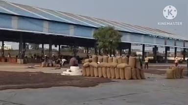 खानपुर: खानपुर कस्बे में स्थित कृषि उपज मंडी में 972 किवंटल सरसों की हुई बंपर आवक, भाव रहा ₹6801 प्रति किवंटल