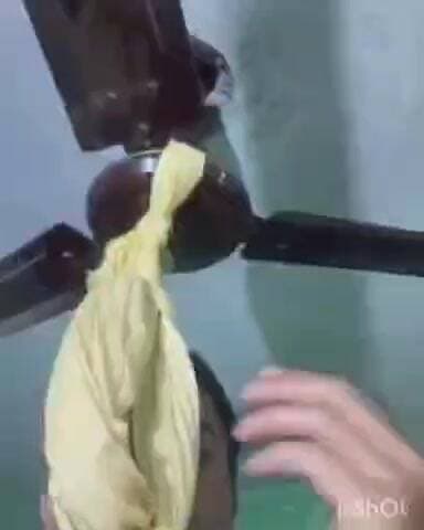 विकासनगर: विकासनगर क्षेत्र में पारिवारिक विवाद से तंग आकर युवक ने आत्महत्या की