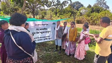 जशपुर: महुआ बना आदिवासी आजीविका का नया मॉडल, सुपरफूड के रूप में उभर रही है पहचान