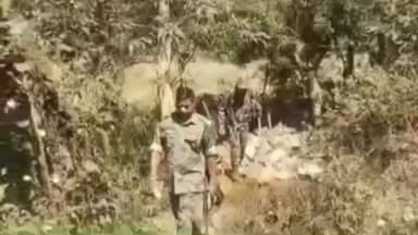 झींकपानी: झींकपानी-गुडासाईं में छापामारी, 2500 किलो जावा महुआ नष्ट, 160 लीटर देशी शराब बरामद