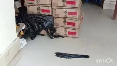 मनेर: रामघाट पुल के पास पुलिस ने छापेमारी कर 146 लीटर अंग्रेजी शराब और एक ऑटो किया बरामद, एक कारोबारी गिरफ्तार