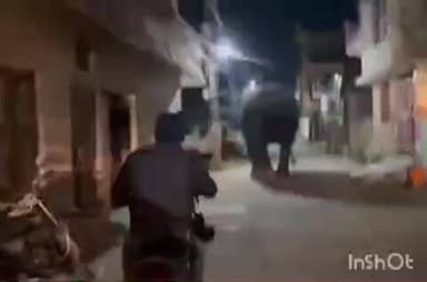 हरिद्वार: जगजीतपुर की गलियों में घूम रहे हाथी को टक्कर मारता नजर आया स्कूटी सवार, वीडियो हुआ वायरल
