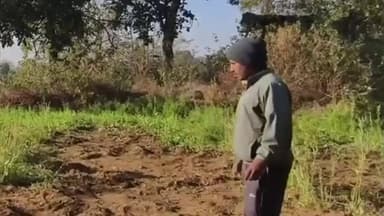 गोमिया: पंचमो पन्नाटांड़ में जंगली हाथियों का तांडव, प्राथमिक विद्यालय में तोड़फोड़ और आलू की फसल नष्ट