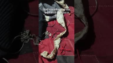 #trending #youtubeshorts #viral #duet #automobile #love #like #live #ytshorts #youtube #youtuber#yt