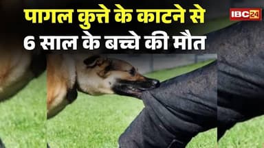 Datia News: पागल कुत्ते ने काटा..6 साल के बच्चे की मौत। मासूम की मौत से परिवार में भारी आक्रोश