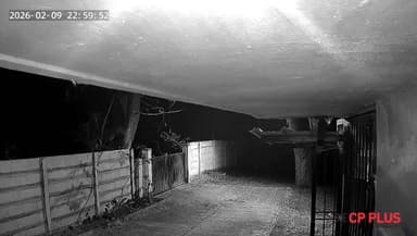 ಹರಿಹರ: ಹರಿಹರದಲ್ಲಿ ಚಿರತೆ ಓಡಾಟ?: ಆತಂಕ ಬೇಡ ಎಂದ ಶಾಸಕರು, ಅರಣ್ಯ ಅಧಿಕಾರಿಗಳು