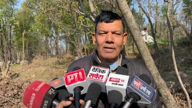 बिलासपुर सदर: चंदन पेड़ों की कटाई से दहशत, पीड़ित ने वन विभाग से आरोपियों की जल्द गिरफ्तारी की मांग की