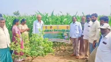 బద్వేల్: కొర్రపాడు : పంట నమోదు చేసుకొనుటకు ఈ నెల 20 వ తేదీ చివరి అవకాశం - వ్యవసాయాధికారి వెంకట కృష్ణారెడ్డి