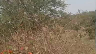 सेनगाव: पार्टीसावळी येथे शेळ्या चारण्याच्या कारणावरून थापड बुक्क्यानी मारहाण