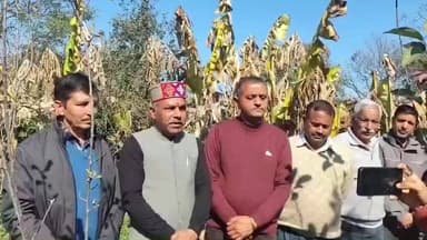 नादौन: किसानों-बागवानों के हित में मुख्यमंत्री ने लिए सराहनीय निर्णय: अजय शर्मा, अध्यक्ष एपीएमसी हमीरपुर