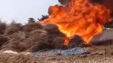 किशनगंज: कटाई के बाद खेत में लगी आग, किसान की मेहनत हुई राख