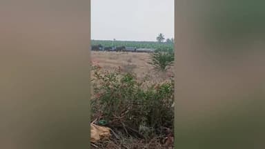 கோவை வடக்கு: குப்பனூர் தீத்திபாளையம் பகுதியில் மூன்று யானைகள் சுற்றித்திரிவு